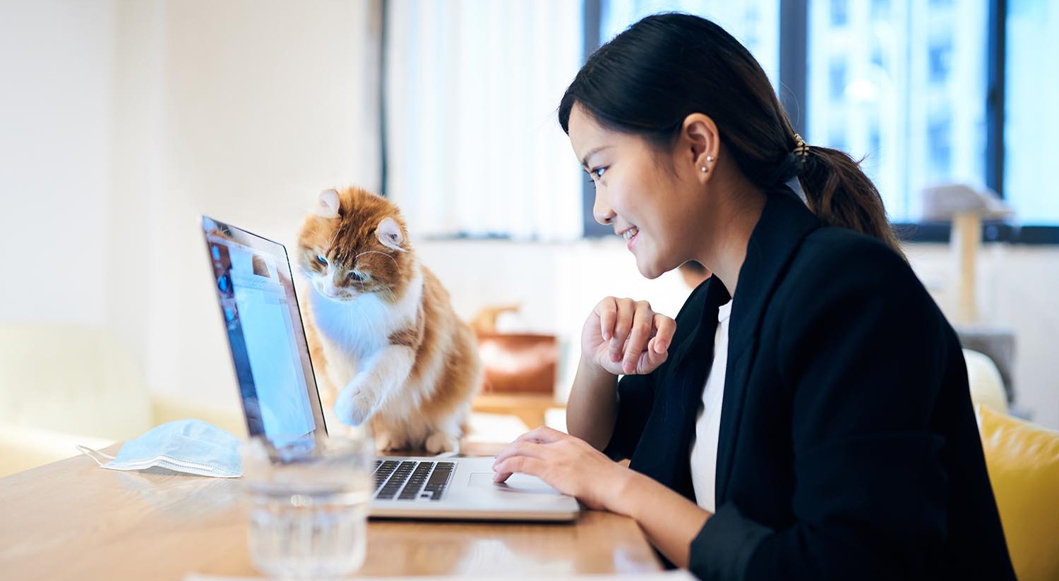 iStock-1221003619 woman working at laptop screen with cat