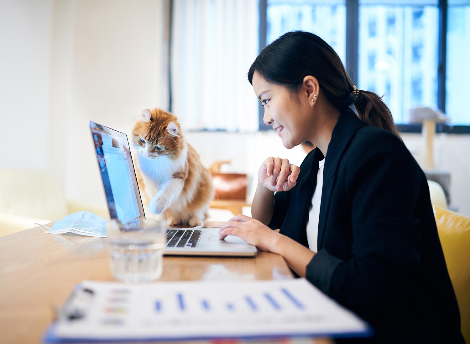 iStock-1221003619 woman working at laptop screen with cat